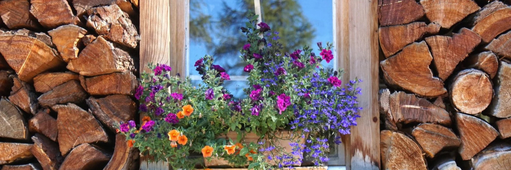 Onlineshop für Holzprodukte und Accessoires