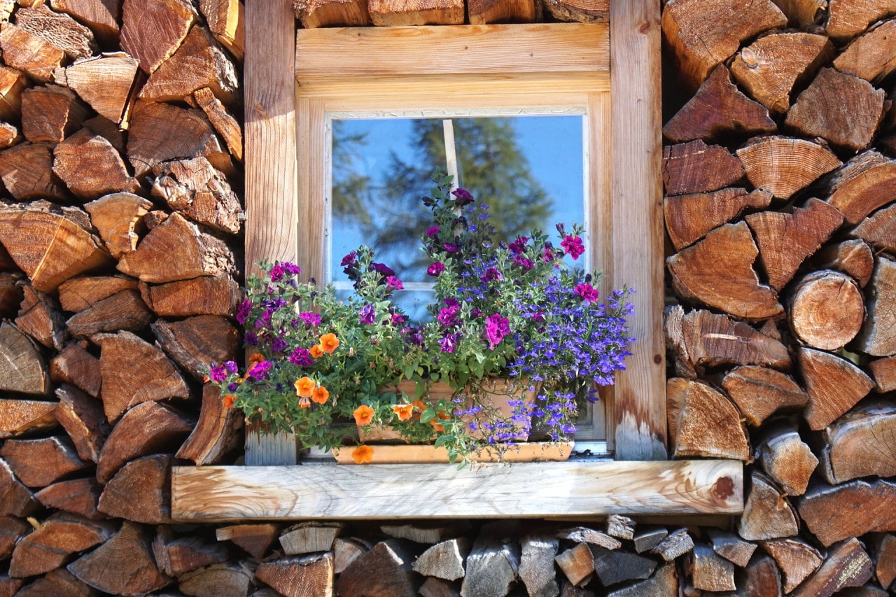Onlineshop für nachhaltige Produkte aus Holz