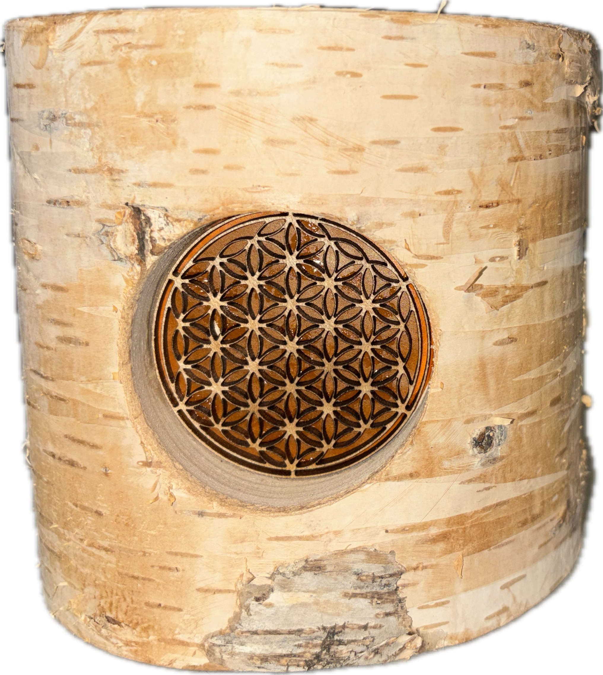 Windlicht im Birkenstamm Blume des Lebens